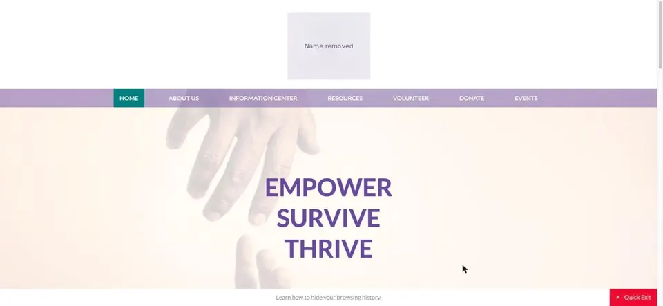 Nonprofit advocacy center website as it launched