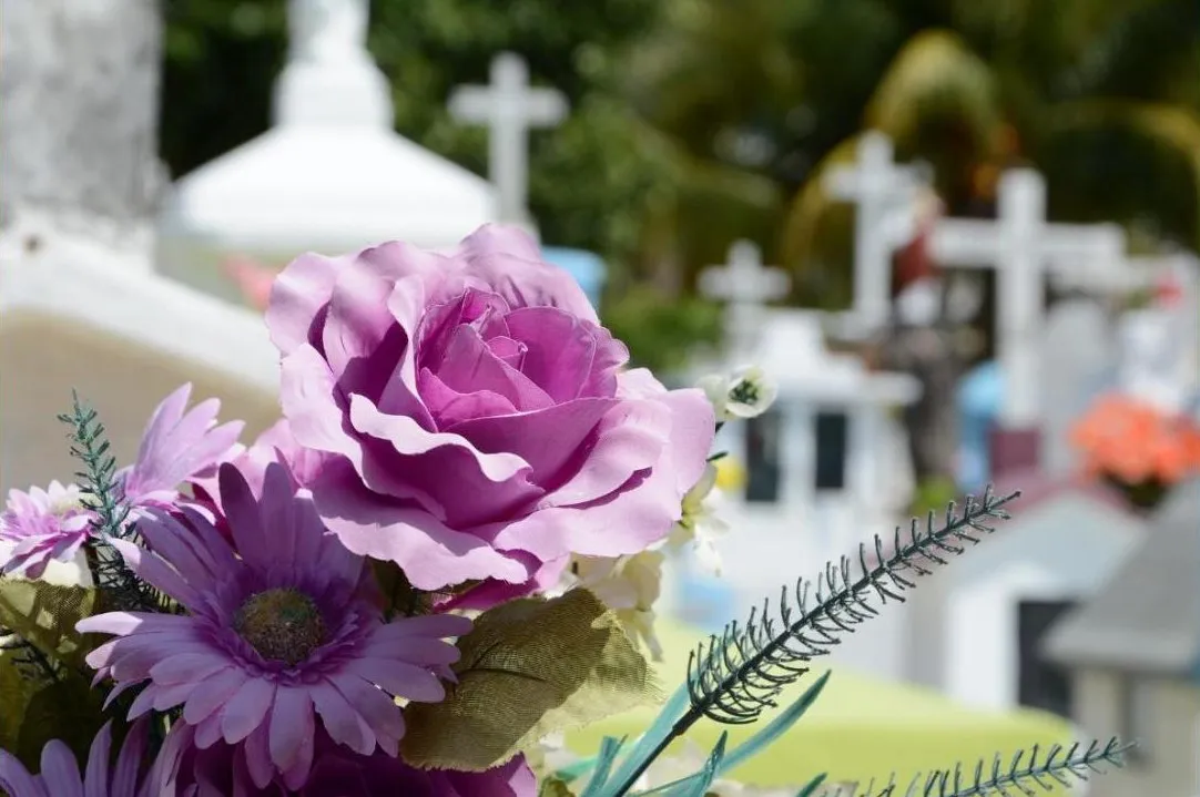 Flowers at a graveside