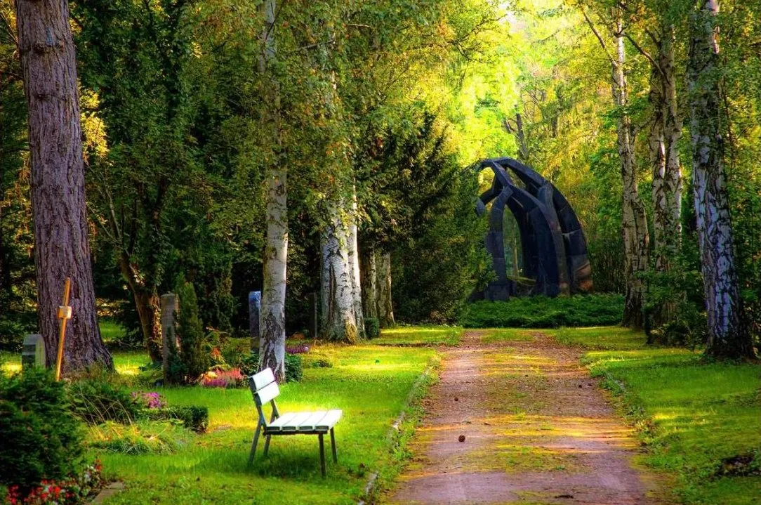 A tree-lined cemetery path with a bench